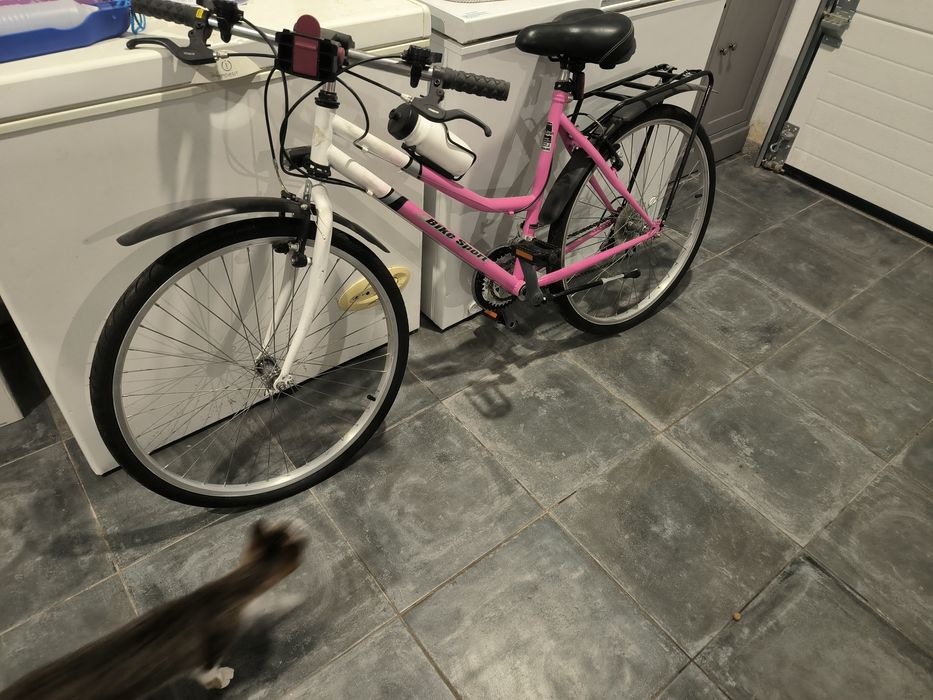 Bicicleta de senhora