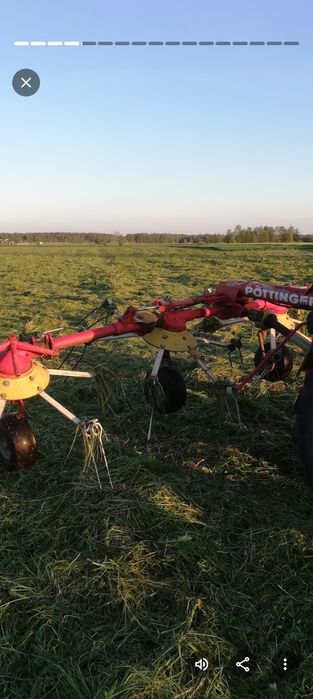 Pottinger hit 54