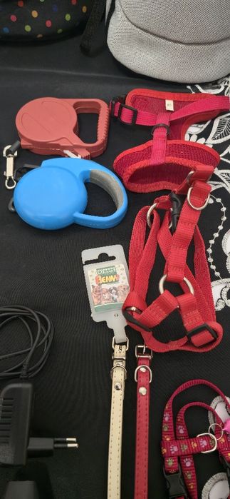 Zestaw dla małego pieska