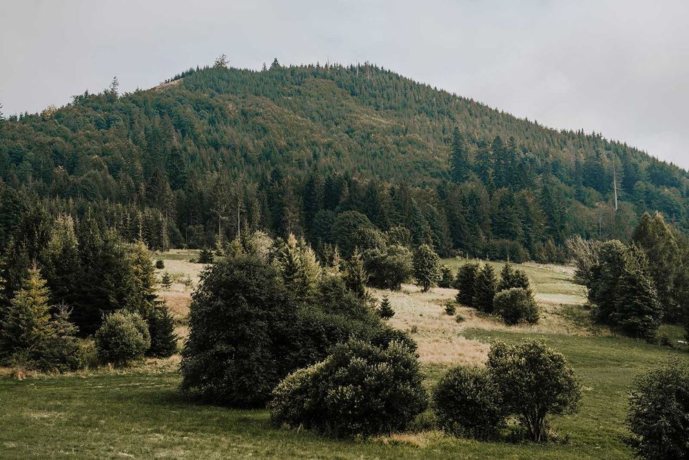 Domki na wynajem Folwark Soblówka. Nocleg w górach Beskid Żywiecki
