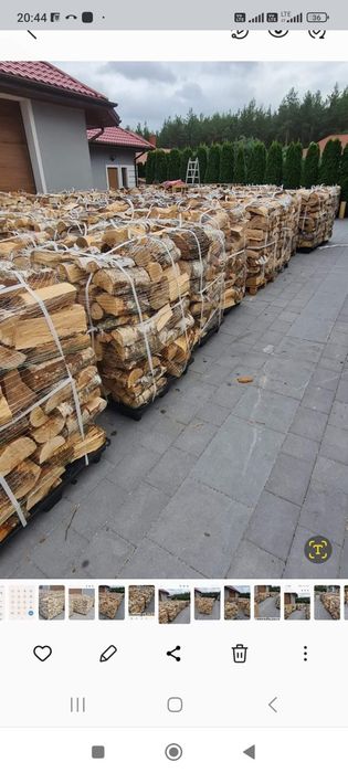 Brzoza Suche drewno opałowe kominkowe EKODREWNO