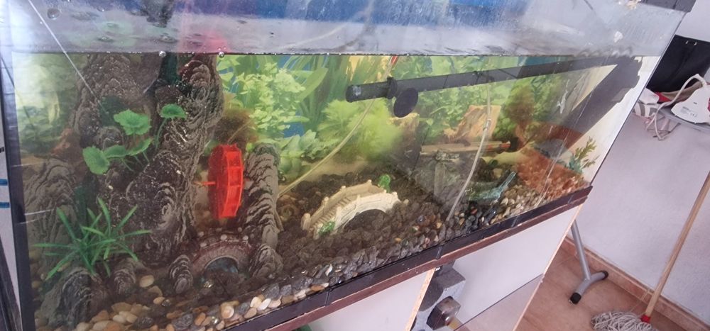 Aquário peixe com bomba de água