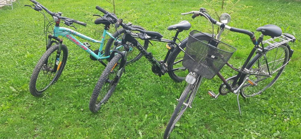 Котедж біля лісу