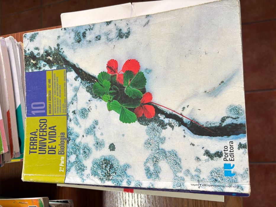 Livros Escolares 10º Ano