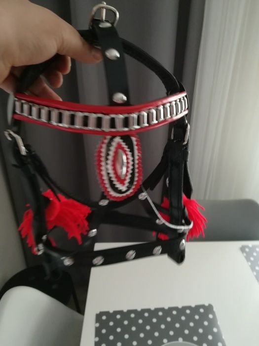 Kantar uzda  na kuca