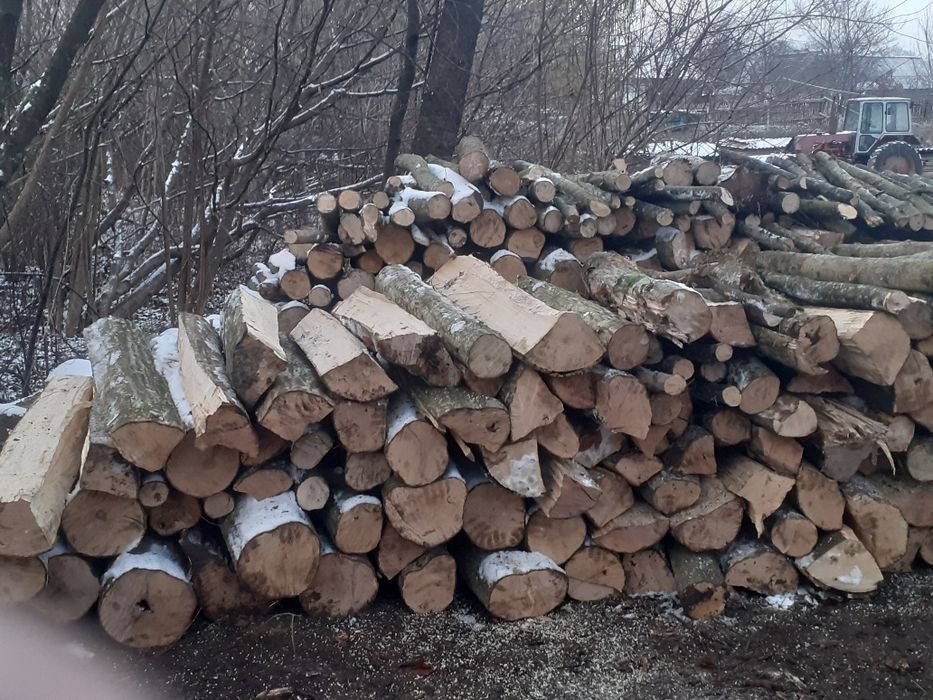 Дрова твердої породи
