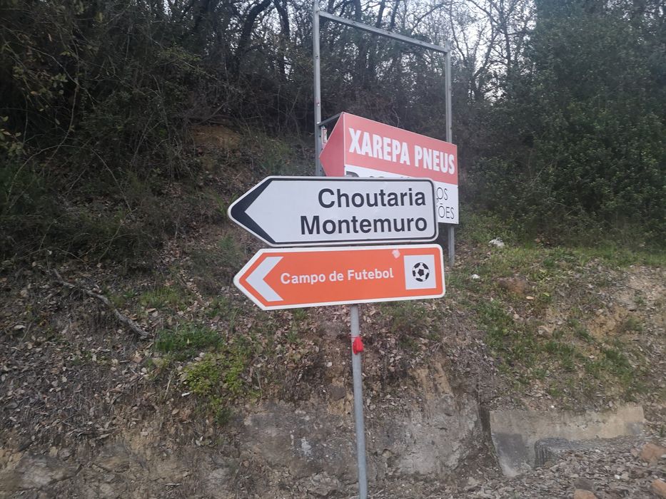 TERRENO Dos Pássaros