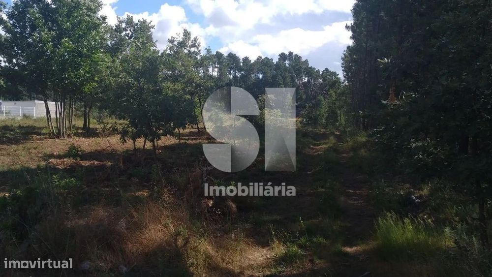 Lote para venda