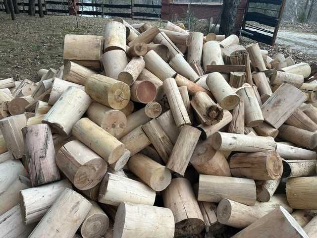 Wałki , palisady, kołki liściaste