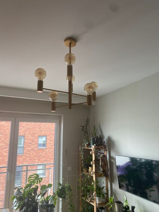 Lampa złota używana rok