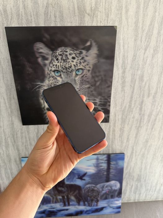 Iphone 12 mini 92% blue