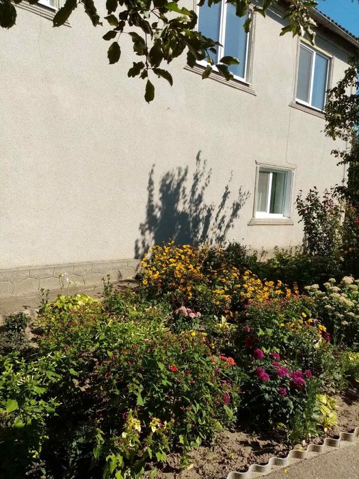 Будинок – Серебрія, Могилів-Подільський район - Вид 5