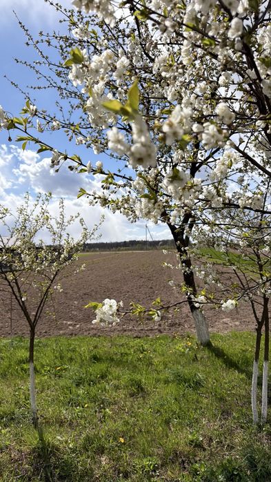 Продаж ділянки Бартатів