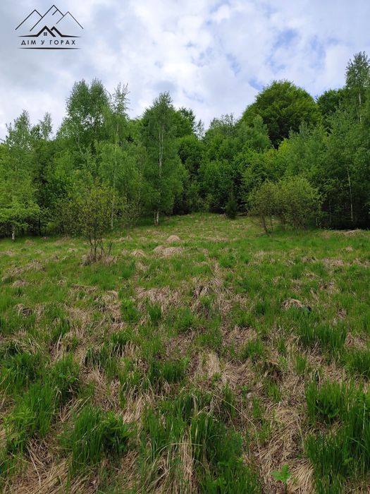 Земельна ділянка 30.7 сот. в с. Шешори з панорамним краєвидом