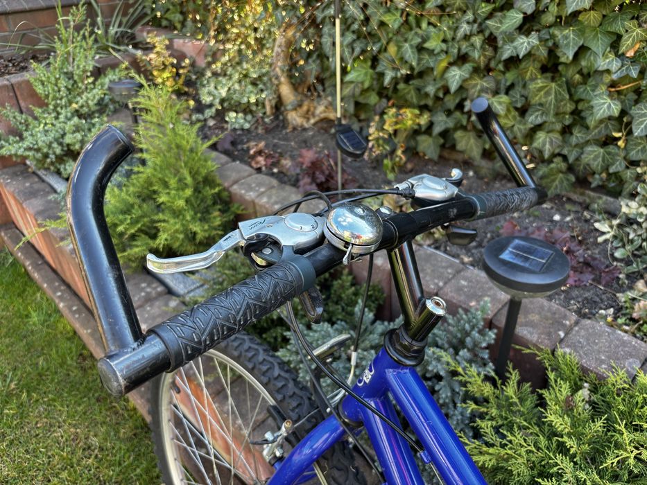 Rower Speeder 21-speed