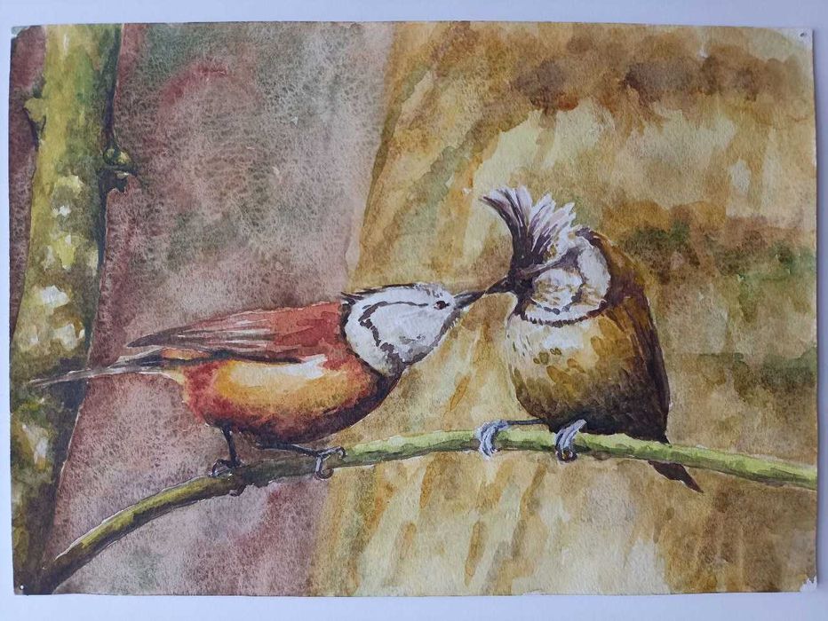 Картины акварельными карандашами, пастелью, акварелью в рамах