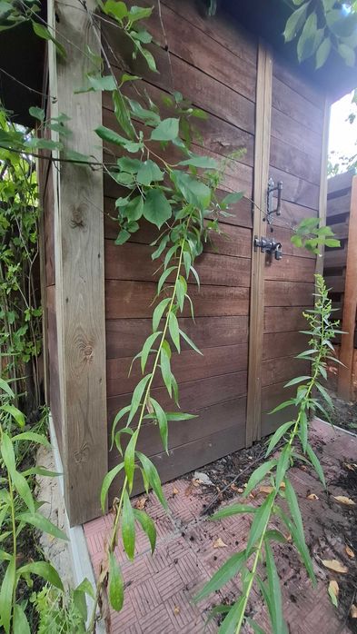 Продам дачу, участок Ледное, Бавария, метро Холодная Гора AN