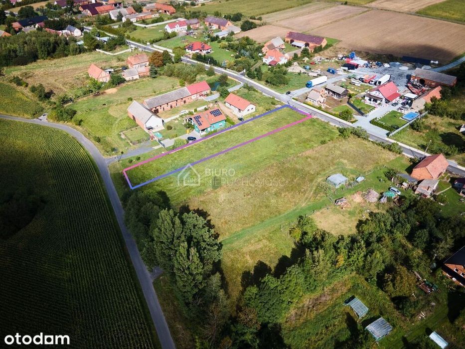 1954 m2 MPZP miejsce na Twój wymarzony dom