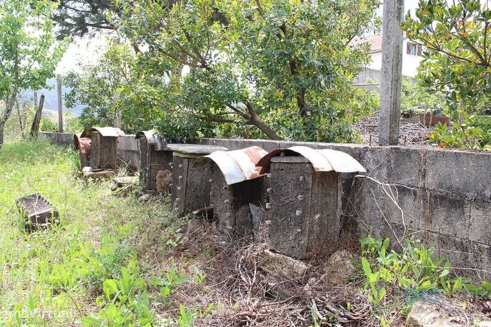 Lote de Terreno