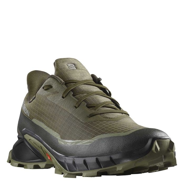 Чоловічі кросівки SALOMON  Alphacross 5 GTX (473103)