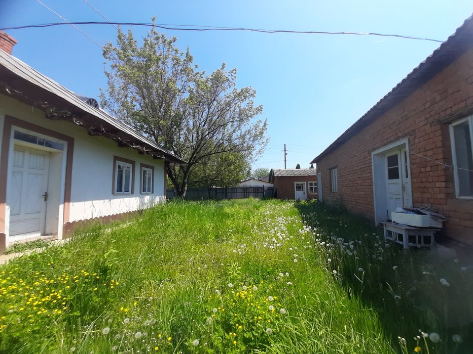 Будинок поблизу м.Чернівці, 250 метрів до р.Прут 21 сот, 35 + 105 кв.м