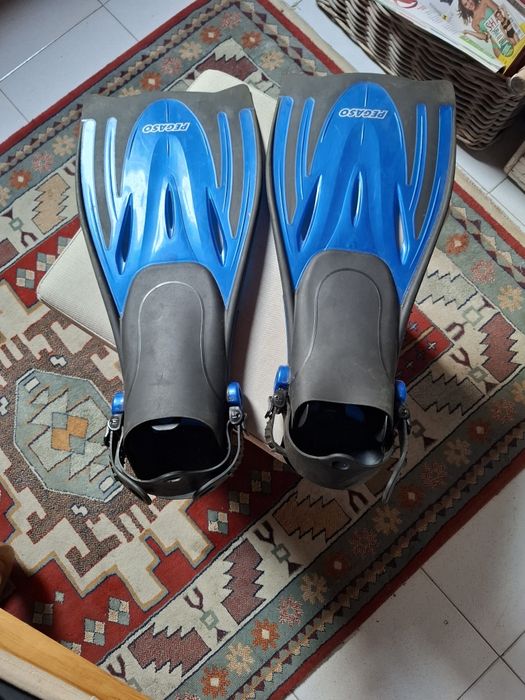 Barbatanas Rip Curl e Pegaso