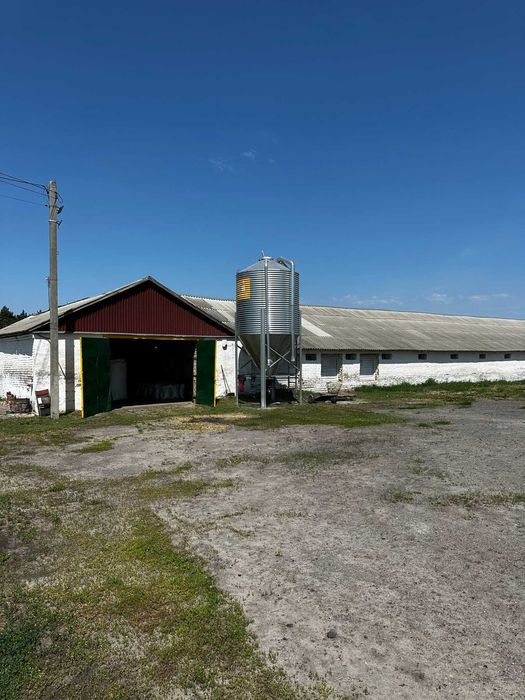 Птицеферма, работающая