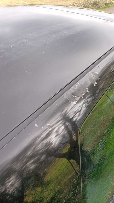 Golf 4 1.9 TDI PD Troco