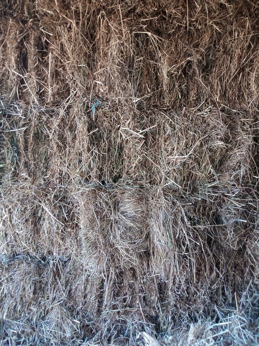 Palha fardos pequenos