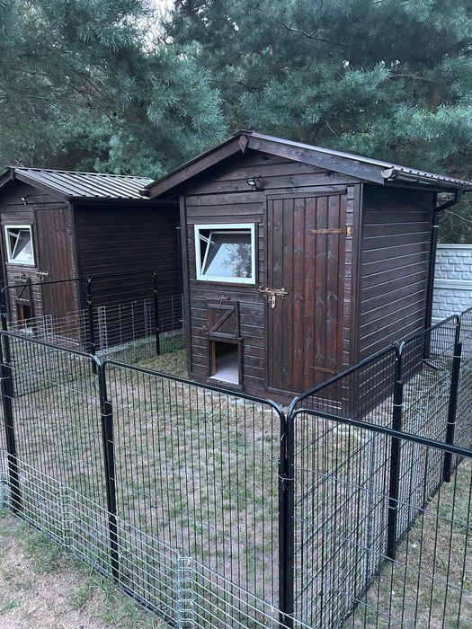 Hotel dla psa (zwierząt) Solec Kujawski Bydgoszcz Toruń
