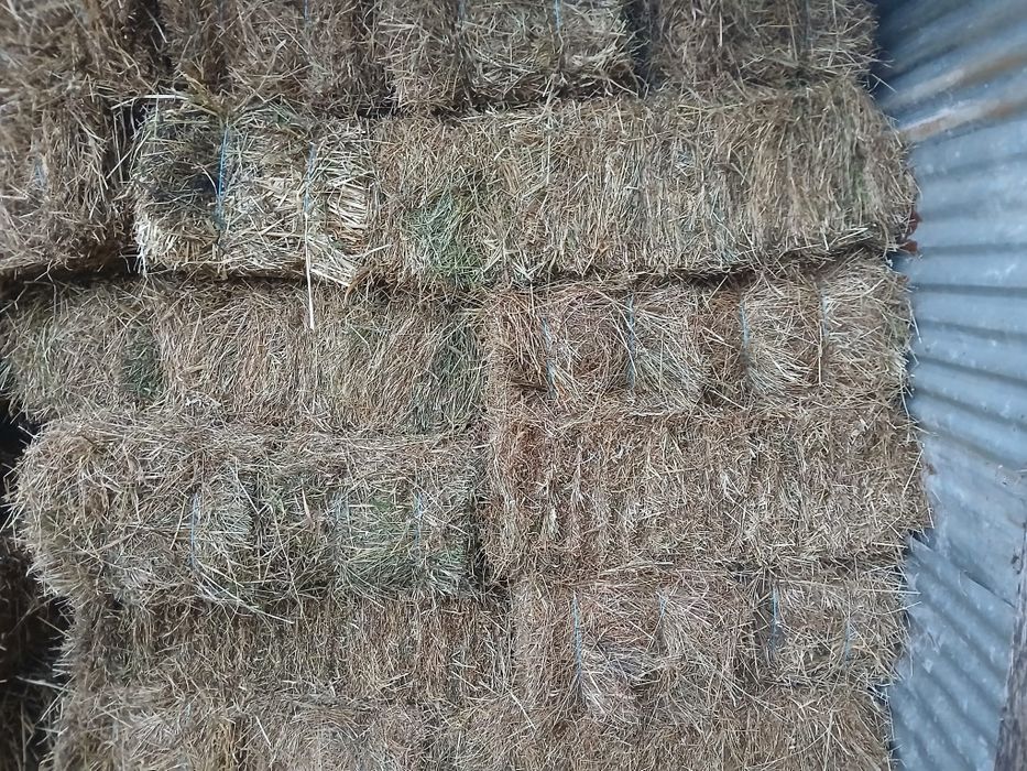 Vendo fardos de palha