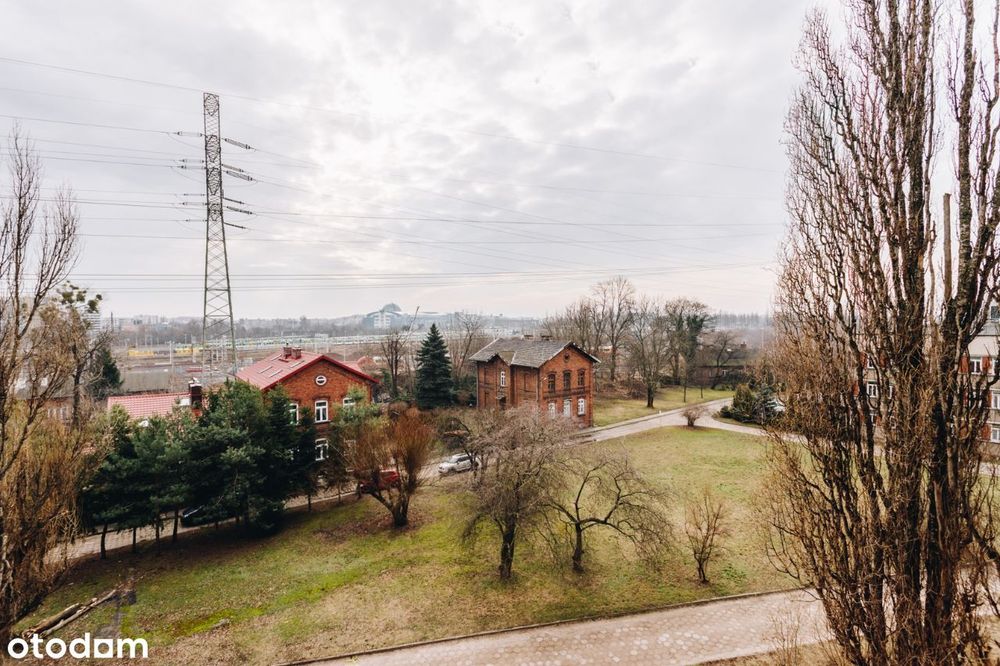 Zdjęcie 8