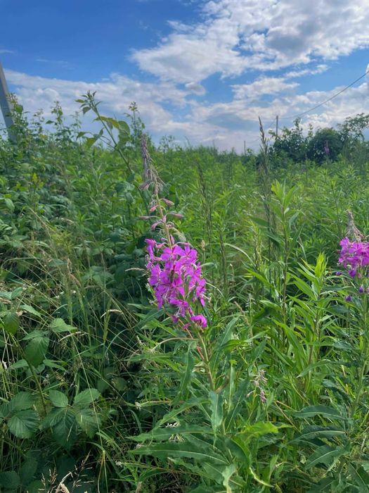 Продаж Ділянки під забудову Малечковичі Нагоряни Солонка 6 сот