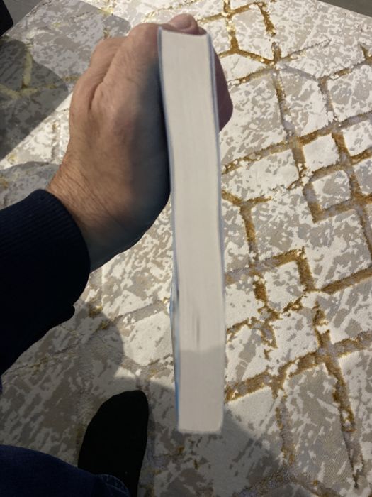 LIVRO DESVENDAR MENTES NOVO