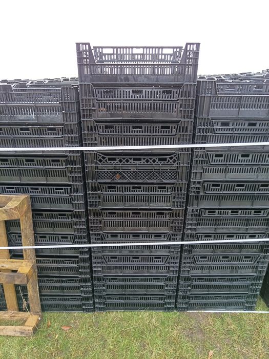 Skrzynki plastikowe holenderki na warzywa  owoce transport 60x40x24