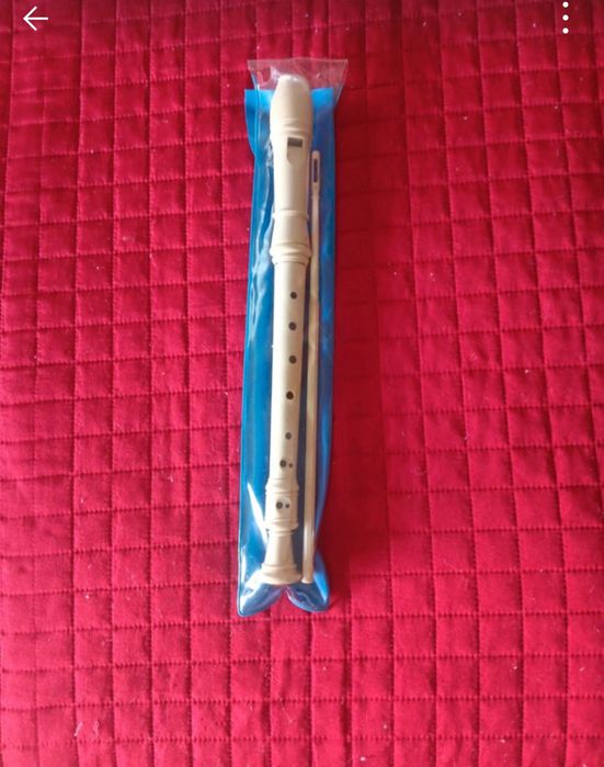 School Recorder64284988067585120