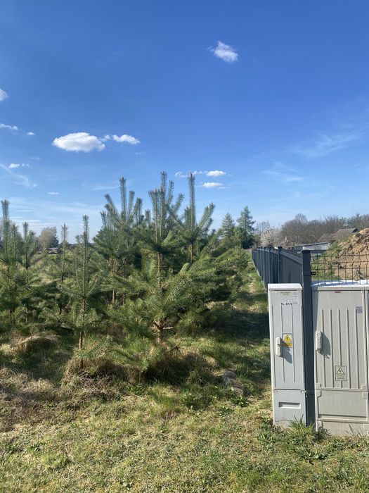 Działka budowlana Malerzów