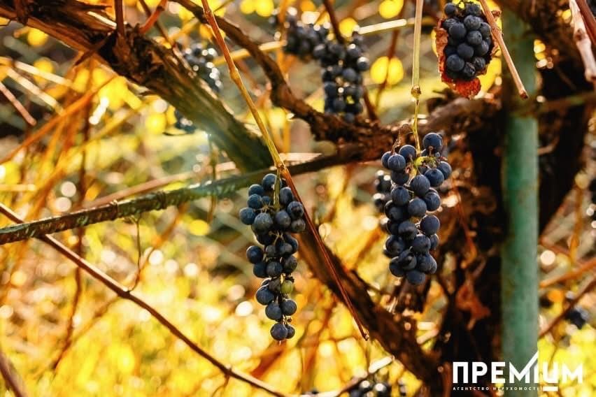 Продаж Окремий будинок Дубно. Державні програми