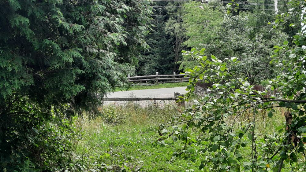 Дві ділянки 31 сотка, та пів хати. Ліс, річка. Світ, криниця, асфальт