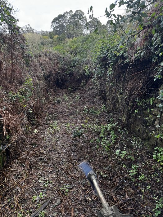 Limpezas de terrenos