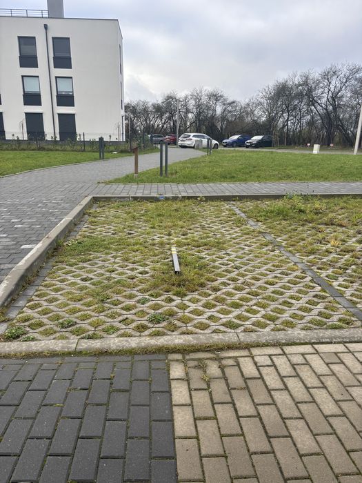 Miejsce postojowe warzymice przeclaw do wynajecia, wynajme miejsce pos