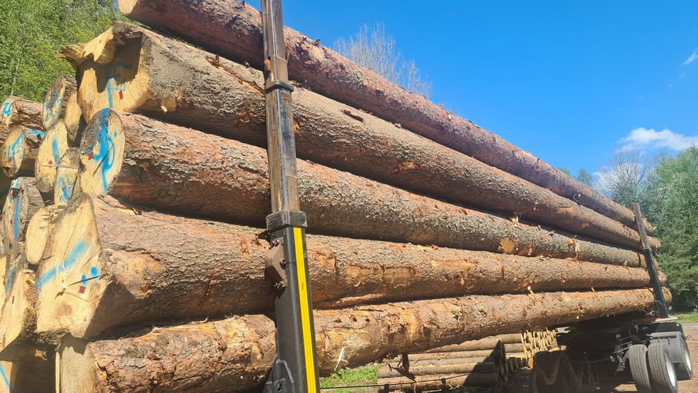 Drewno Tartaczne oraz paletowe