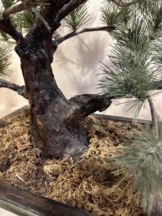 Ялинка  штучна сосна бонсай