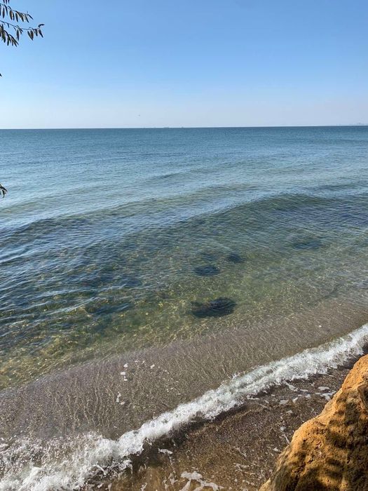 Сдаётся дача на берегу моря со своим пляжем