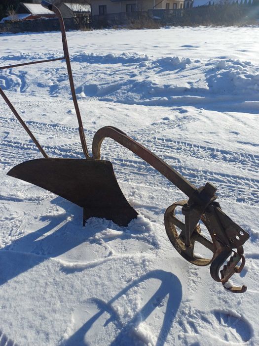 Starocie szukające miejsca w Państwa ogrodzie.