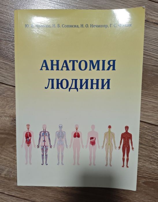 Зошит. Анатомія людини. 2023 рік. Новий.
