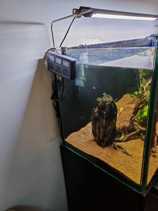 Aquário Água Quente 120 cm