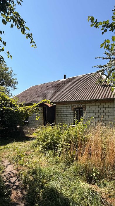 Будинок в с. Красівка