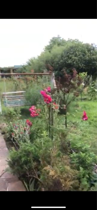 В ДОМАШНІХ умовах.Перетримка. Без КЛіТОК! Лівобережна.