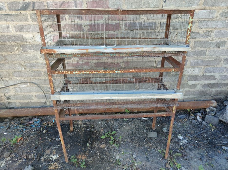 Клетка для перепелов